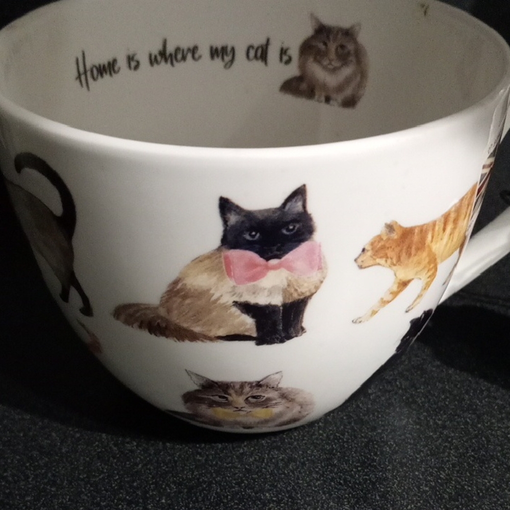 Cat China Cup with Charming Illustrations